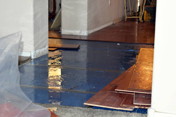 Professional Water Damage Restoration technician working in Willshire, OH